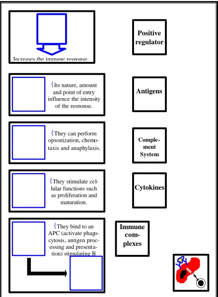 Fig. 2 – Panel about positive regulation.  