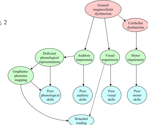 Fig. 2dysfunctionCerebellar
