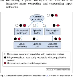 Fig. 1. A model of working memory. (Modiﬁed after [6]. See text for explanation of