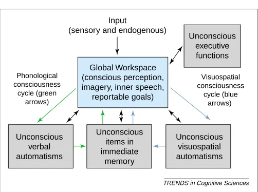 Fig. 2. Conscious elements play an essential role in distributed working memoryfunctions