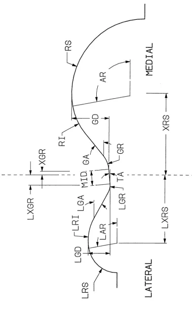 FIG. 4 Variable parameters for a reference frontal section.
