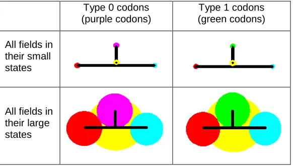 Table 1. The two types of codons and their field states. The fields of a free codon are always 