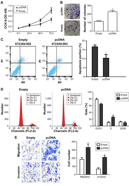 Figure 5 effects of ENST00000430471 on the crc cell in vitro.Notes: (A) ccK-8 assay was performed to determine the proliferation of hcT116 cells