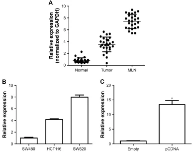 Figure 4 qRT-PCR verification of the expression of ENST00000430471.Notes: (A) The relative expression level of ENST00000430471 in crc tumor tissues, paired normal tissues, and corresponding Mlns
