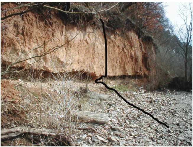 Fig. 1 marked AN).