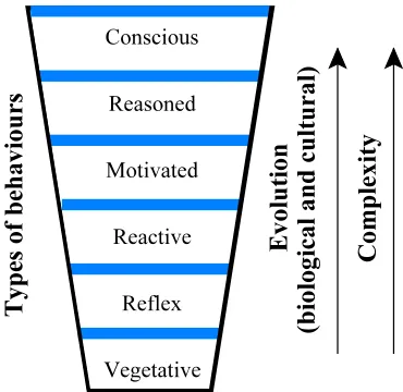 Figure 2. Simulating exhibitions of intelligence (Gershenson, 2001).