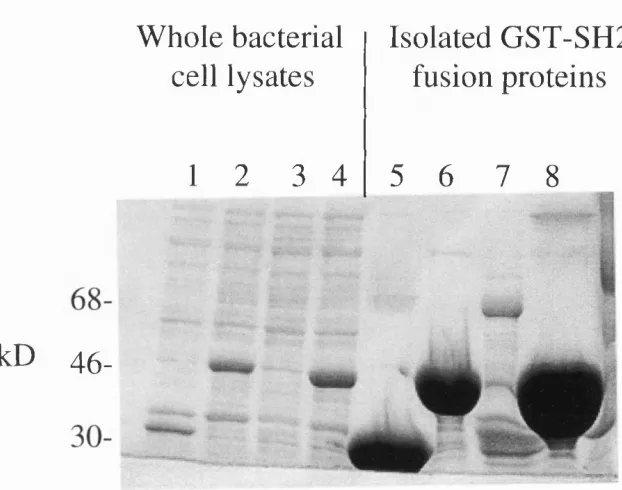 Figure 2.14.