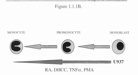 Figure 1.1. IB.