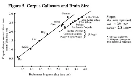 Figure 6 is my computational prediction for split-braininess for land and marine mammals (Table 1 