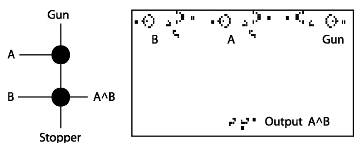 Fig. 1.14. Output activation. The light cell is one specifically activated.