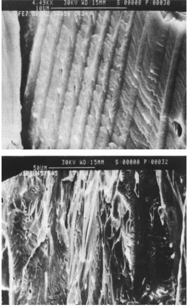 Fig. micrograph a This transmission electron lamellar region containing L1, twins the Co,,Ru,,Ta,, specimen 6 shows in 