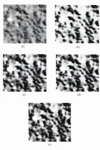Figure 1.2: Illustration of an asphalt image region (a) unequalised and equalised in (b) 256, (c) 64, (d) 32, and (e) 16 grey levels using the “equal probability quantizing” algorithm.