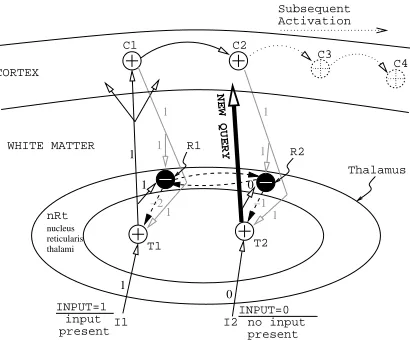 Figure 5:presentgram shows a simpliﬁed thalamo-cortical loop that can perform Analogical Filtering in the Thalamus.The dia-analogical completion and selection and then propagate the se-lection back to the cortex
