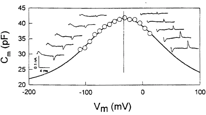 FIG. 3.  Capacitance of an isolated outer hair cell varies with membrane potential (from 