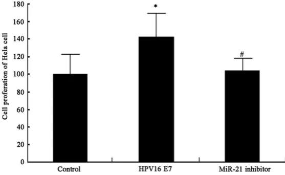 Figure 2. MiR-21 expression level. *, P<0.05 compared to control group; #, P<0.05 compared to HPV16 E7 group.