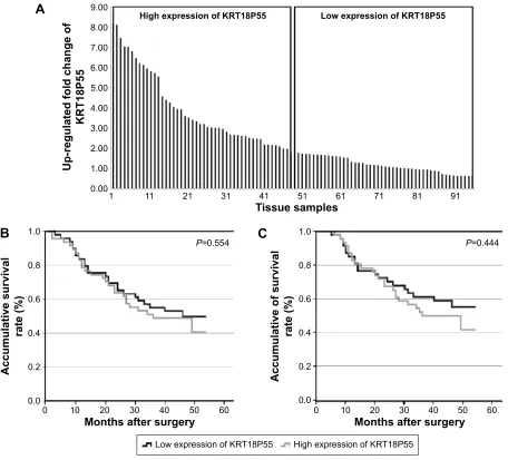 Figure 3 (A) Overall survival of patients from Tcga datasets (P=0.148). (B) rOc curve of patients based on KrT18P55 expression in gc tissue samples and matched naTs.Abbreviations: aUc, area under the rOc curve; gc, gastric cancer; naTs, normal adjacent tissues; rOc, receiver operating characteristic; Tcga, The cancer genome atlas.