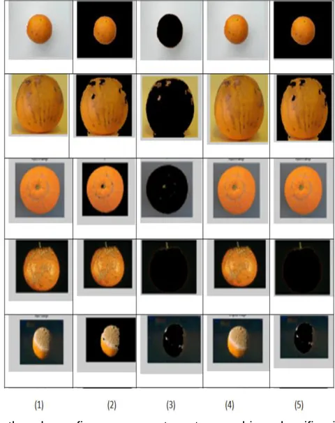 Figure 5: Original Image  