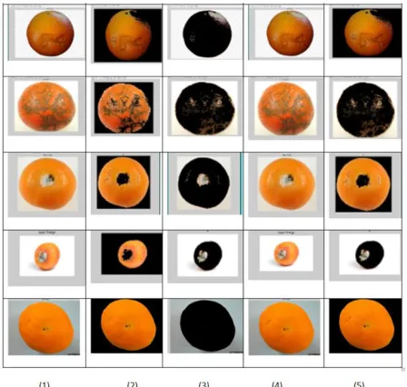 Figure 8: Accuracy Analysis 