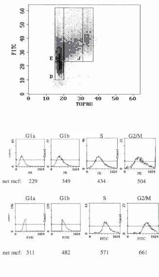 Figure 4.14 Determination of cdk and total cell protein expression in G la, G lb , S, G 2/M phases