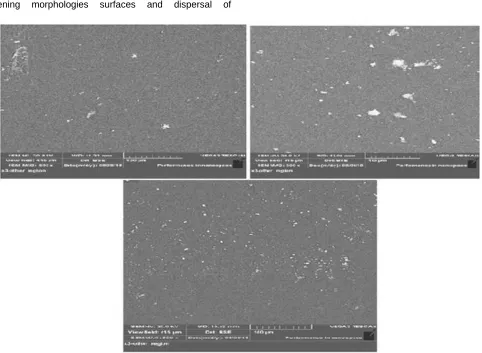 Figure (5) micrographsof SEM (PVA-NiO) by increase attention of SiC nanoparticle. 
