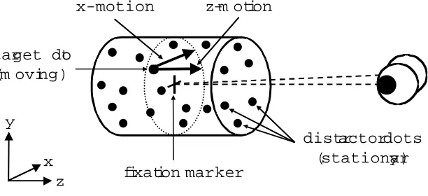 Figure 1: A schematic representation of the stimulus (Cyclopean view), showing a target dotdefined by x-motion (motion in the frontoparallel plane) and z-motion (motion in the medianplane with respect to the head).