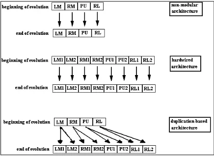 Figure 3. Schematic representation of the genomes of the threearchitectures. (LM = genetic encoding for the connection weightsof the left motor; RM = right motor; PU= pick-up motor; RL =release motor