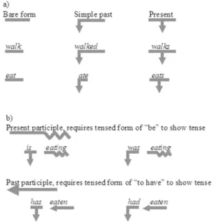 Figure 2 Verb morphology: (a) coding for finite verb tenses (all lines would be in yellow);