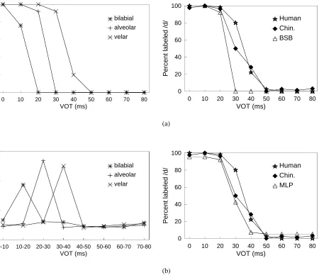 Figure 6.Composite labeling functions for the alveolar series forhumans, chinchillas and neural networks