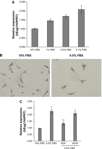 Figure 1 eag1 (ether à-go-go-1) regulation by epidermal growth factor (egF) and serum.Notes: eag1 mrna expression, as determined by real-time Pcr, increased with decreasing serum concentrations (A and C)