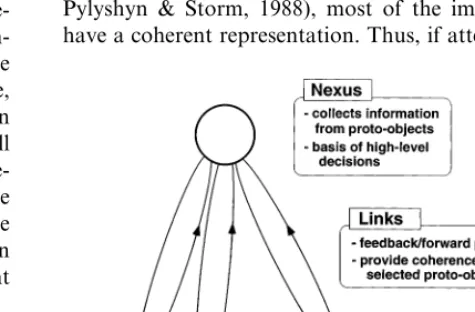 Fig. 2. Schematic of coherence ﬁeld (Rensink, 2000a). In the absenceof focused attention, low-level structures (proto-objects) are volatile.Attention acts by establishing feedback links between proto-objectsand a mid-level nexus