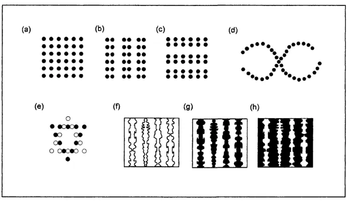 Figure 2.1 W ertheimer’s grouping principles: grouping into columns (b) and into rows (c)