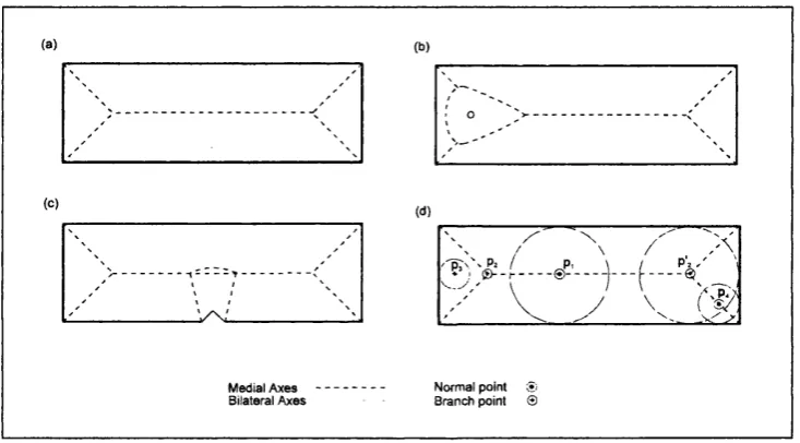 Figure 4.4 Axes o f  a rectangle : The medial axis o f  a rectangle (a) poorly depicts the p erceivedaxes o f  reflectional symmetry
