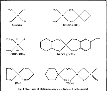 Fig. I Structures of platinum complexes discussed in this report 