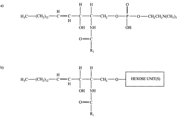 Figure 1-2. Molecular structures of sphingolipids: a) sphingomyelins and b) glycosphingolipids.