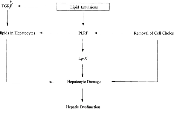 Figure 1 -4. Possible role of phospholipids in the development of TPN-associated cholestasis.