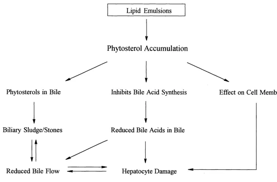 Figure 1 -7. Possible role of phytosterols in the development of TPN-associated cholestasis.