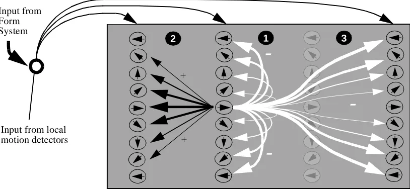 Figure 2 :  Integration Cell  Architecture: Each position in space in indicated by a vertical column