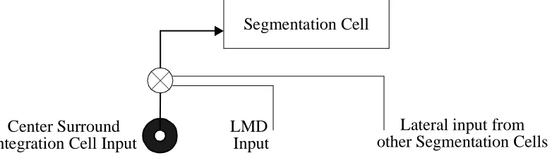Figure 3:  Gating of Segmentation Cell Input: Segmentation cells only receive center-surround input if 