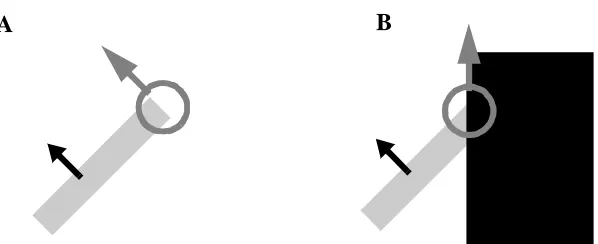 Figure 4:  Real terminators unambiguously signal the true direction of motion (A) whereas terminators 