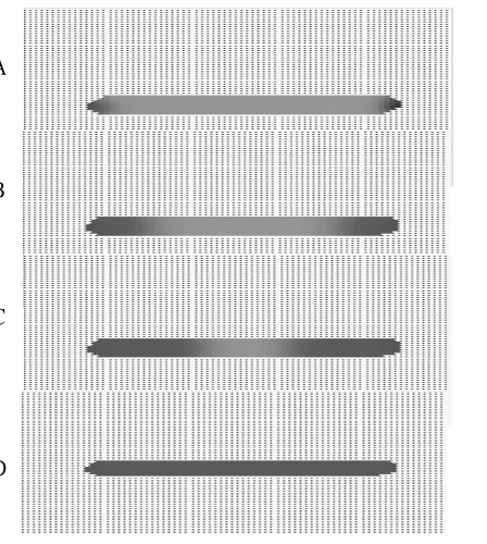 Figure 6:  Translating Line - I cell activation:  The activity of I cells in response to a translating line at 
