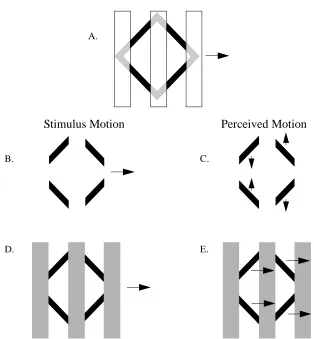Figure 9:  Diamond with Bar Occluders: Stimuli are generated by translating a diamond pattern behind 