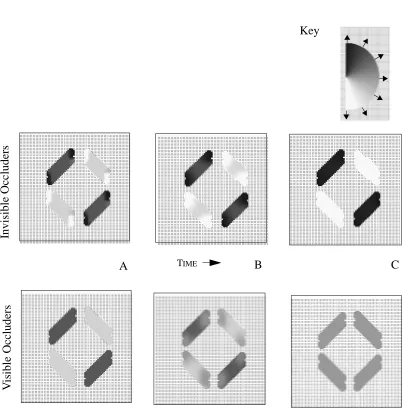 Figure 10:  Simulations of divided diamonds.  Model output is shown for 3 different time steps