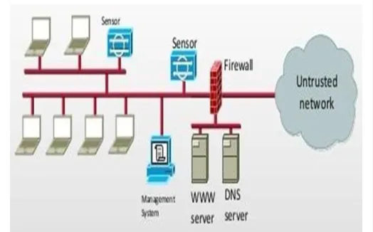 Fig. 3. illustration of Host Intrusion Detection System [16] 