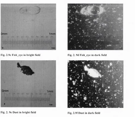 Fig. 2.9c Fish eye in bright field