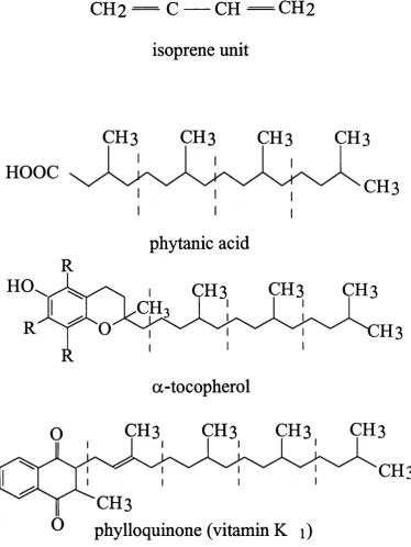 Figure 1-1: Structure of an isoprene unit and some examples of isoprene 