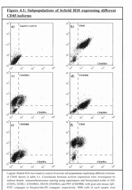 Figure 4.1: Subpopulations of hybrid HIO expressing different 