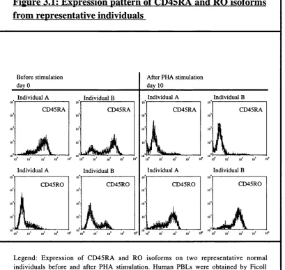 Figure 3.1; Expression pattern of CD45RA and RO isoforms from representative individuals