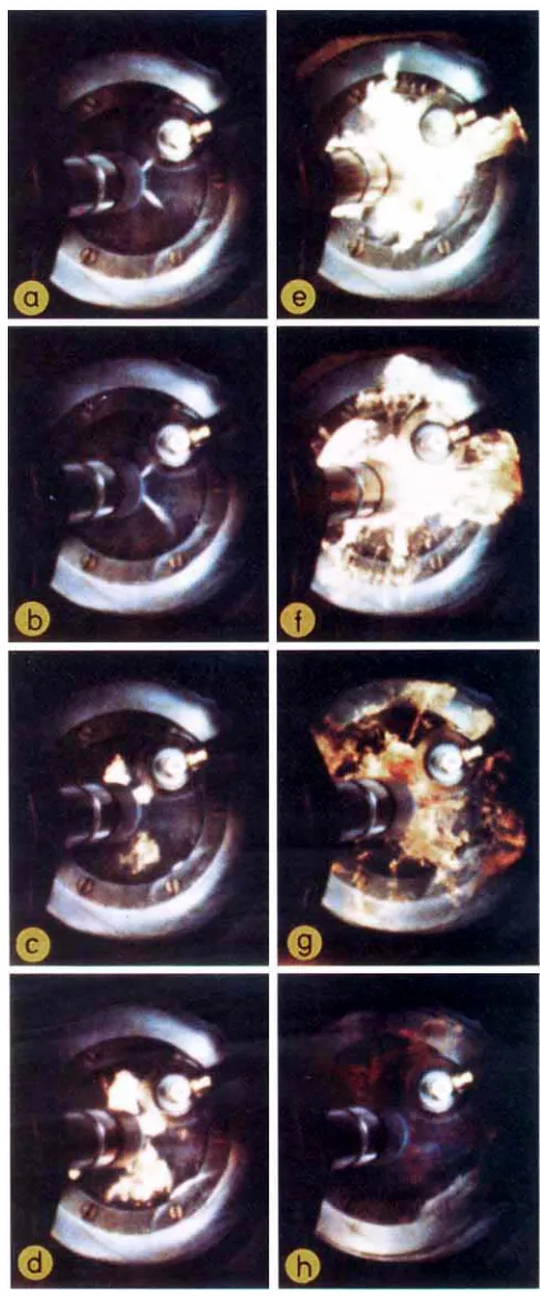 Fig. photographic record shows 