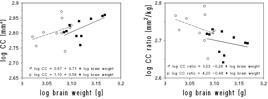 Figure 2: a) Total Corpus callosum (CC in log mm(CC/BW in log mmtext for further details)