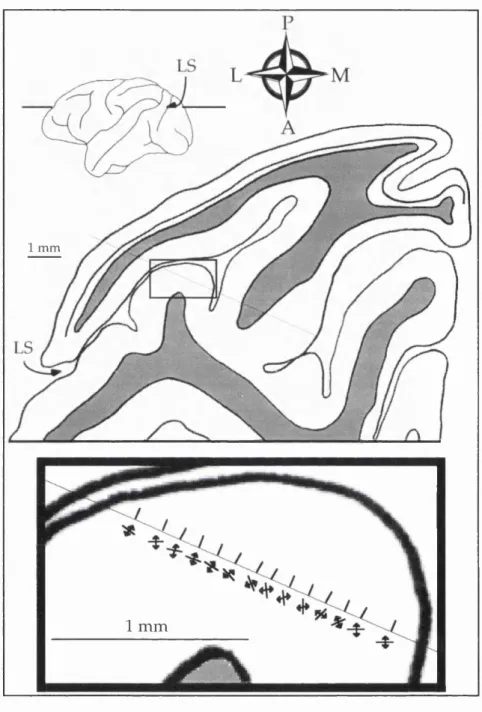 Figure  22a  and  b  (Overleaf).